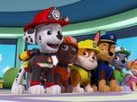 Replay Paw Patrol, la Pat'Patrouille - Les drones de M. Hellinger