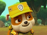 Replay Paw Patrol, la Pat'Patrouille - Sauvetage extrême : le monstre des marais