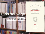 Replay La p'tite librairie - L'Iris sauvage - Louise Glück