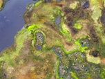 Replay Le mystère des tourbières