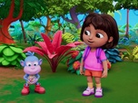 Replay Dora - S01 E21 - L'eau arc-en-ciel