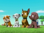 Replay Paw Patrol, la Pat'Patrouille - Marcus, seul dans la tour de contrôle