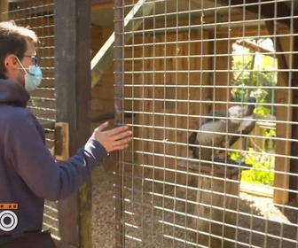 Replay Une saison au zoo - S13 E33