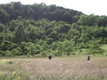 Replay Manhunt - S2 E2 - La chute