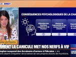 Replay C'est votre vie - Pourquoi est-ce si difficile de gérer ses émotions pendant la canicule?