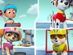 Replay Paw Patrol, la Pat'Patrouille - Danny et l'ours
