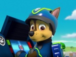 Replay Paw Patrol, la Pat'Patrouille - Alex a perdu sa dent