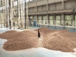 Replay ARTE Journal - Biennale d'art contemporain à Lyon : artistes et écologie