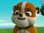 Replay Paw Patrol, la Pat'Patrouille - Le robot-serveur détraqué