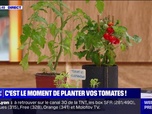 Replay C'est votre vie - La saison pour planter ses tomates a commencé