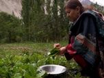 Replay Focus - Pakistan : la vallée du Hunza, joyau touristique, menacée par le réchauffement climatique
