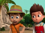 Replay Paw Patrol, la Pat'Patrouille - Mission Jungle : Vicky et la boule en or