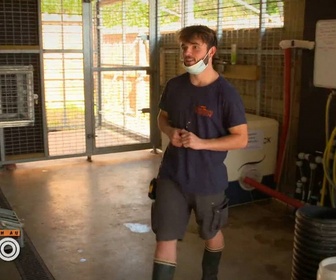 Replay Une saison au zoo - S14 E50
