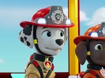 Replay Paw Patrol, la Pat'Patrouille - Mission Pompiers : Un reportage exclusif