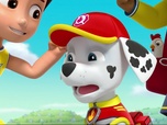 Replay Paw Patrol, la Pat'Patrouille - Le match de basketball