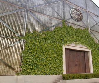 Replay L'ivresse de l'amour - S01 E92