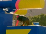 Replay Total WipeOut - La guerre des fans