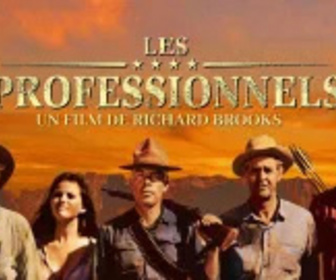 Replay Les professionnels