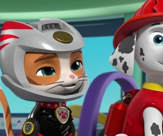 Replay Paw Patrol, la Pat'Patrouille - La Pat' Patrouille rencontre les Super Chats