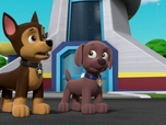 Replay Paw Patrol, la Pat'Patrouille - Travis l'apprenti fermier