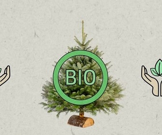 Replay ARTE JUNIOR Le magazine - Dossier : comment fêter un Noël durable ?