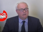 Replay 100% Sénat - Aides publiques aux entreprises : audition de STMicroelectronics
