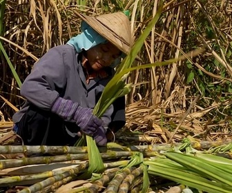 Replay La Birmanie, un pays en guerre - Thaïlande : l'exil sans fin des Birmans