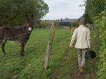 Replay Dr Cath - S2 E6