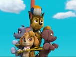 Replay Paw Patrol, la Pat'Patrouille - La Pat'Patrouille aide un ami