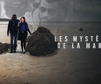 Replay Les mystères de la marée