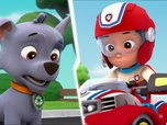 Replay Paw Patrol, la Pat'Patrouille - Le bébé dauphin