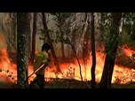 Replay Incendies: évacuations sur l'île grecque de Céphalonie