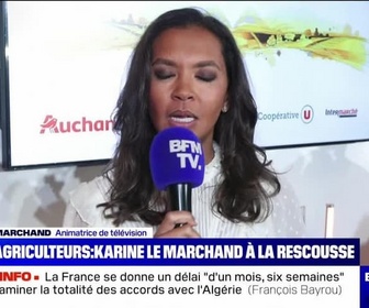 Replay BFM Story - Story 2 : Karine Le Marchand à la rescousse des agriculteurs - 26/02