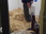 Replay Au cœur du zoo de New York