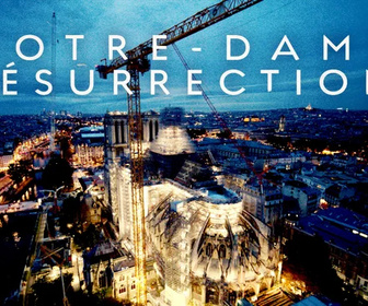 Replay Science grand format - 17/01/2026