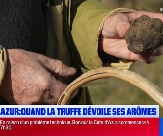 Replay Les longs formats des Locales - Côte d'azur : quand la truffe dévoile ses arômes