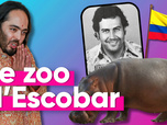 Replay Top Info - Un milliardaire Indien veut sauver les hippopotames de Pablo Escobar