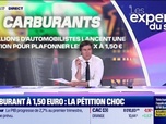 Replay Les experts du soir - Carburant à 1,50 euro : la pétition choc - 12/04