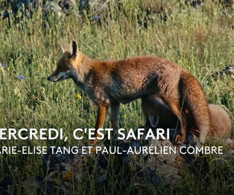 Replay La France en Vrai - Normandie