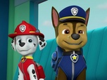 Replay Paw Patrol, la Pat'Patrouille - Cali, la clandestine