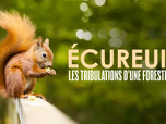 Replay Ecureuil, les tribulations d'une forestière