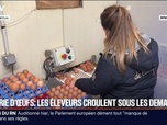 Replay BFM Première - Pénurie d'oeufs: les éleveurs croulent sous les demandes