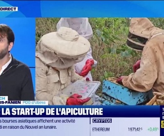 Replay Good Morning Business - Ubees : la start-up de l'apiculture de retour en France