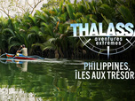 Replay Thalassa, aventures extrêmes - 07/09/2026