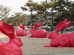 Replay Nuit européenne des Musées - De l'art et du lapin