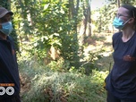 Replay Une saison au zoo - S12 E16