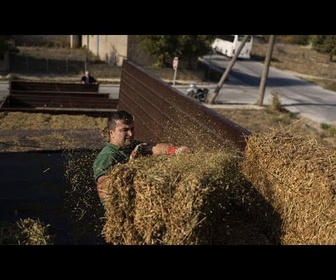 Replay Athènes met sous tutelle un organisme agricole après une enquête du Parquet européen