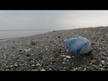 Replay Fermeture de plusieurs plages en France après la détection de Physalies
