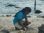 Replay ARTE Journal Junior - Portrait d'enfant : Sansala au Sri Lanka
