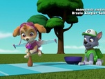 Replay Paw Patrol, la Pat'Patrouille - La plus grosse omelette du monde